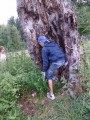 Csalánok közt Tarzán Szent Anna tó